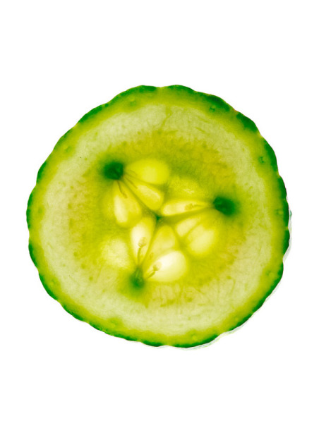 Cucumber Extract GW   (Gurken Extrakt)